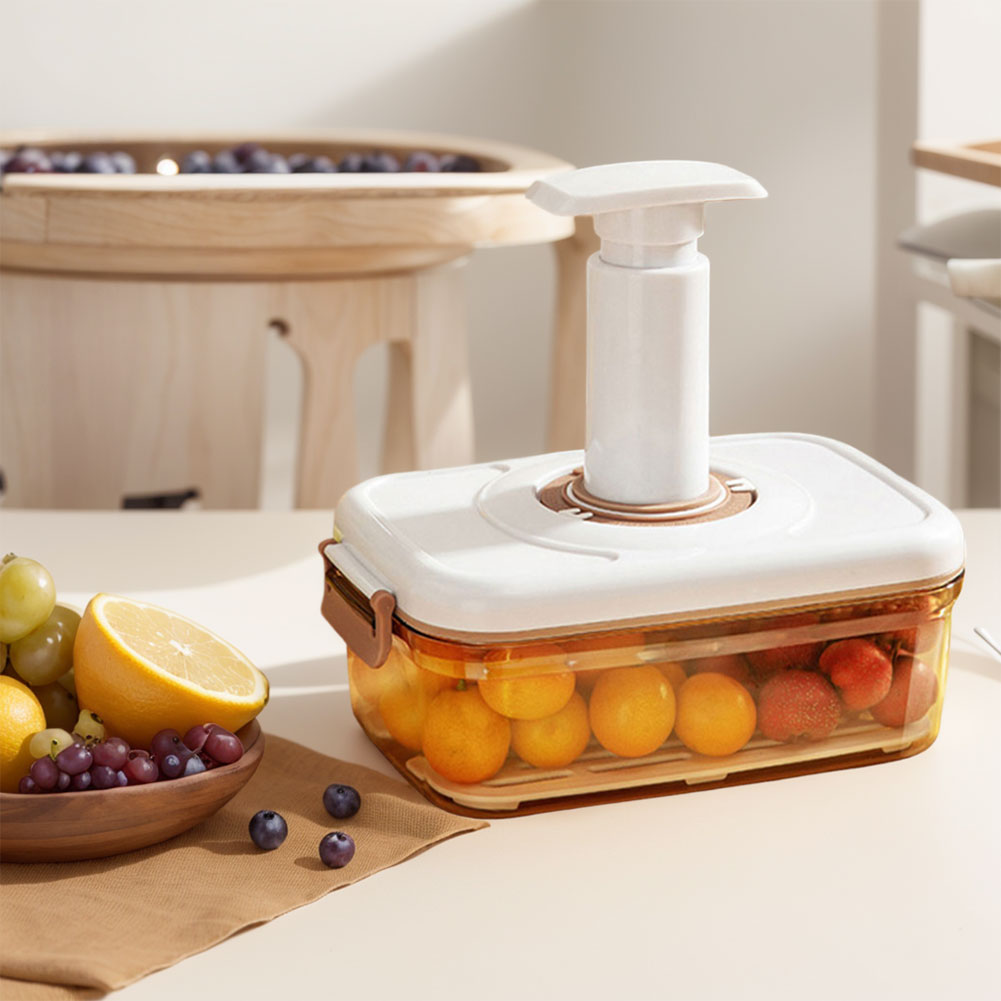 Vacuum Food Storage Container  - Food Storage Vacuum Containers 评论和价格