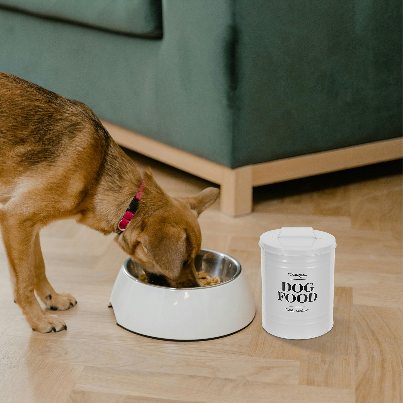 54Oz Sturdy Iron Dog Food Stor - Food Storage Jars 评论和价格